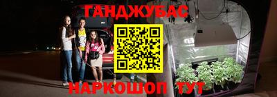 дурь Кингисепп