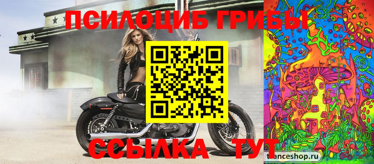Галлюциногенные грибы мухоморы Краснокаменск