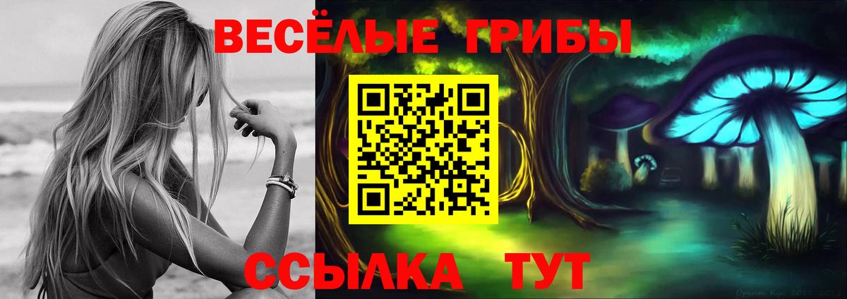 Псилоцибиновые грибы MAGIC MUSHROOMS  Вход с VPN  Краснокаменск 